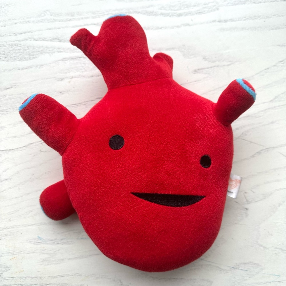 Anatomically correct heart plushie by I heart guts